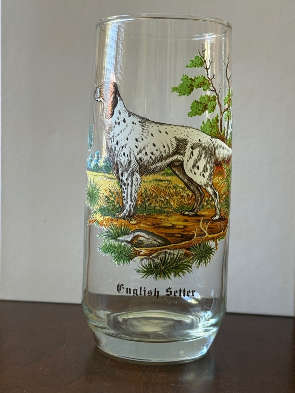 VTG mid century West Virginia English Setter drinking glass